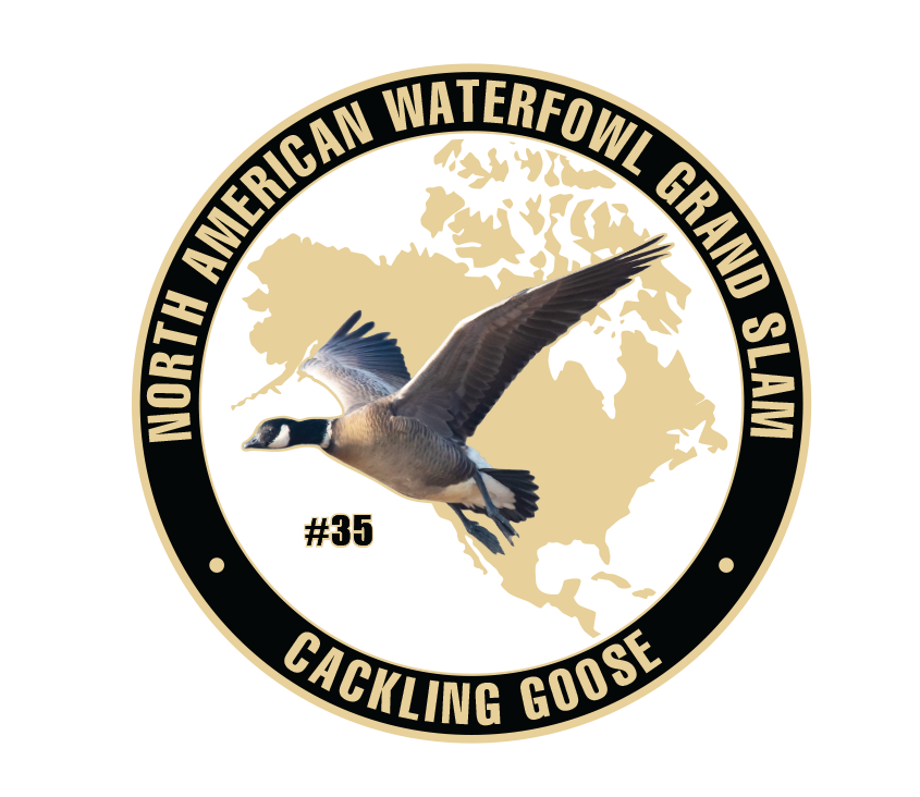 35-C-CACKLING-GOOSE