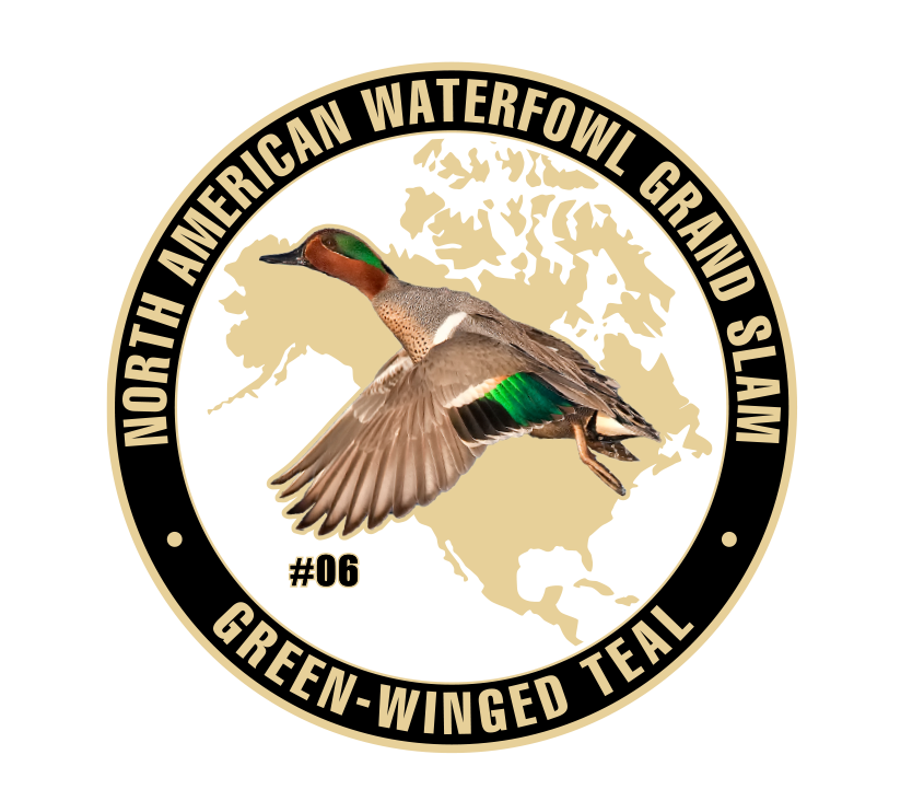 6-C-GW TEAL